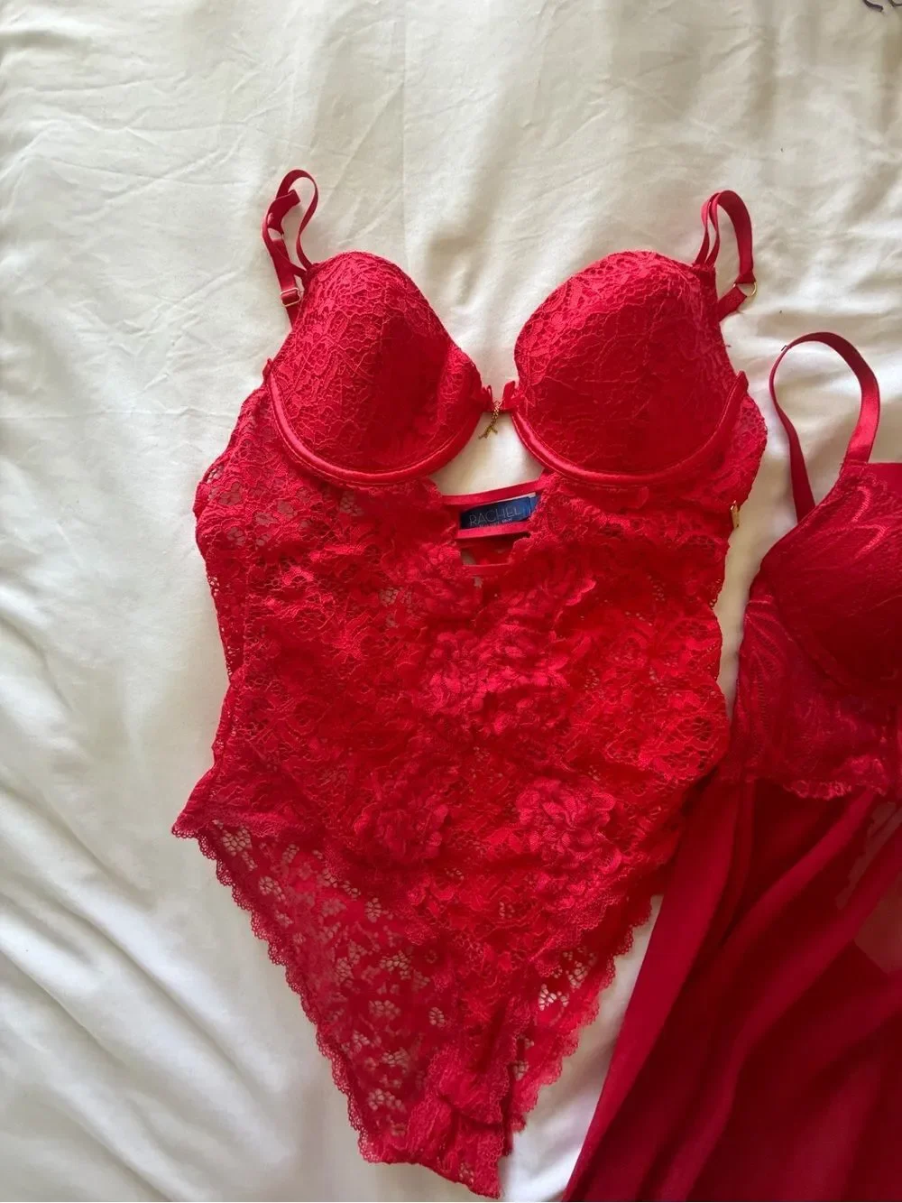 Daisy Fuentes Red Lace Bodysuit and Red Chemise Set